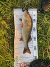 IMG_5156.jpeg