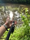 IMG_1426.jpeg