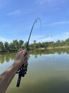 IMG_1236.jpeg