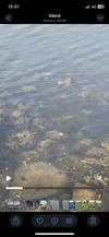 IMG_7469.png IMG_7469.png