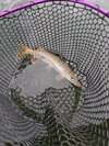 PXL_20250601_075108133.MP.jpg