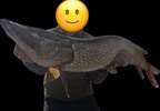 IMG_0678.jpeg