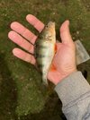 IMG_9106.jpeg