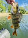 IMG_0037.jpeg