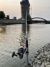 IMG_0389.jpeg