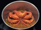 2 Pulpo 250605.jpg