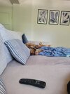 20250603_113919.jpg