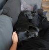 IMG_20250606_093357.jpg