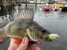 IMG_6748.jpeg