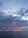 IMG_1416.jpeg