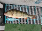 IMG_20250608_065144~2.jpg