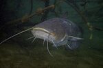 K800_DSC04349a.JPG