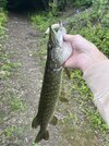 IMG_1776.jpeg