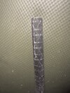 IMG_7671.jpeg