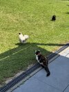 IMG_6743.jpeg