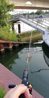 IMG_20250609_062516.jpg