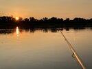 IMG_2771.jpeg