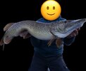IMG_0737.jpeg