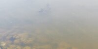 IMG_20250609_082935.jpg