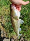 20250616_094210.jpg