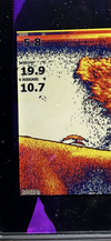 IMG_2827.png