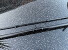 IMG_0155.jpeg