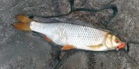 IMG_20250619_065823.jpg