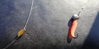 IMG_20250619_074958.jpg