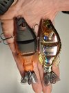 20250619_085213.jpg