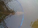 DSC_8767.JPG