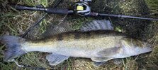 IMG_0002.jpeg