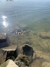 IMG_9730.jpeg