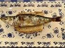 IMG_2593.jpeg