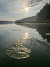 IMG_1644.jpeg