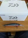PXL_20250623_160539188.jpg