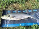 IMG_20250623_180858.jpg