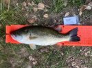 IMG_5654.jpeg
