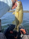 IMG_5793.jpeg