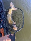 IMG_5815.jpeg