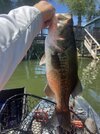 IMG_5825.jpeg