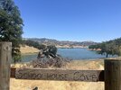 IMG_5813.jpeg