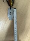 IMG_7343.jpeg