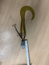 IMG_7342.jpeg
