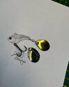 IMG_6368.jpeg