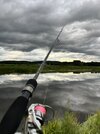 IMG_8541.jpeg