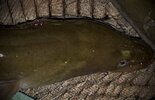 IMG_0208.jpeg