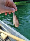 IMG_20250628_091732_1.jpg
