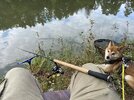 IMG_1013.jpeg