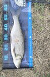 IMG_20250629_221317.jpg