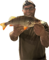 1751236985855.png